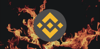 Binance Coin (BNB) Rate Poised For A Significant Breakout– Which Method Will It Go?