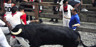 Litecoin Bulls Barrel Back Towards $92 Level– Will They Prosper?