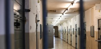 BREAKING: FTX Creator SBF On The Verge Of Prison: Judge Set To Guideline On Bail BREAKING: FTX Creator SBF On The Verge Of Prison: Judge Set To Guideline On Bail