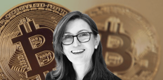 Bitcoin Set To Speed Up As A Shop Of Worth In Wake Of Bank Collapses, Cathie Wood