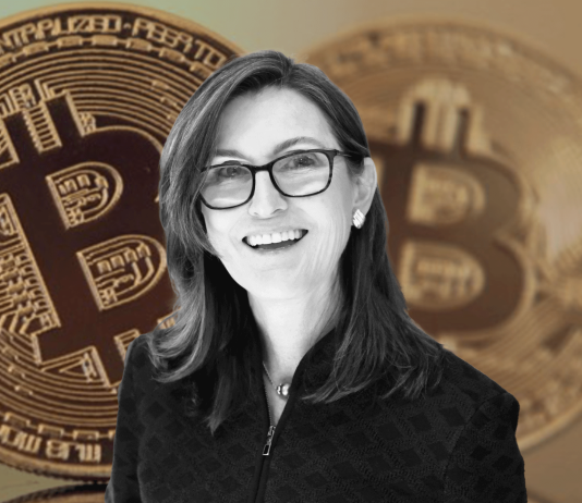 Bitcoin Set To Speed Up As A Shop Of Worth In Wake Of Bank Collapses, Cathie Wood