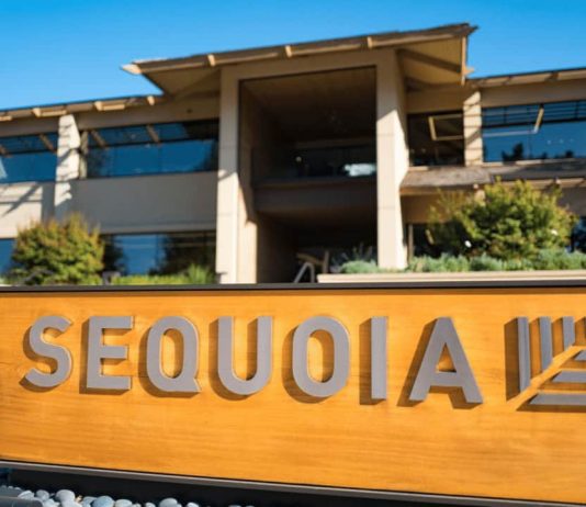 VC Company Sequoia Capital Slashes Crypto Fund By 65% Amidst Bearish Market