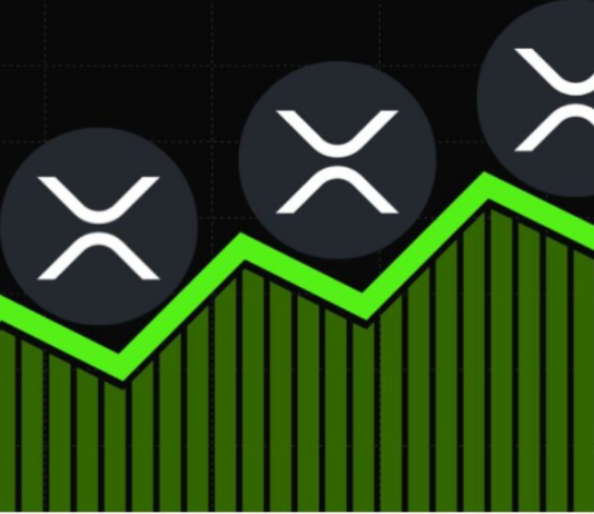 Traders’ Interest In XRP Stays Strong Regardless Of Cost Retreat, Data Reveals