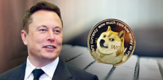 Dogecoin Leaps 13% Following Elon Musk’s Puzzling Tweet– Information