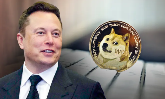 Dogecoin Leaps 13% Following Elon Musk’s Puzzling Tweet– Information