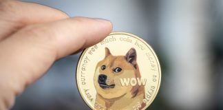 Dogecoin Cost (DOGE) Breaking This Resistance Might Stimulate Fresh Rise