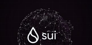 Is SUI Rate Stability Under Hazard Fee To Transactional Boom And Bust?