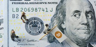 Coinbase Research Study Specialist Translates Most Current Crypto And Financing Market Trends
