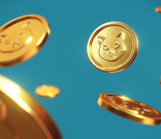 Shiba Inu Sees 10% Pullback, However Here’s Why Rally Can Still Continue