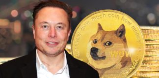 Elon Musk’s Legal representative Files Second Movement To Dismiss Dogecoin Class Action Suit
