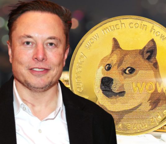 Elon Musk’s Legal representative Files Second Movement To Dismiss Dogecoin Class Action Suit
