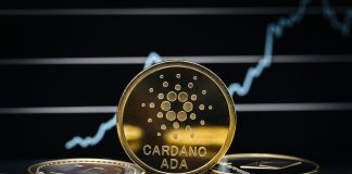 Cardano (ADA) Next In Line For A Rally Following Shark And Whale Purchasing Spree