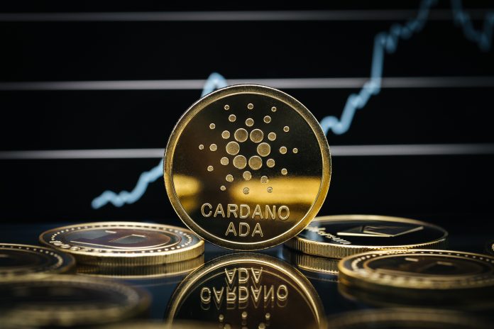 Cardano (ADA) Next In Line For A Rally Following Shark And Whale Purchasing Spree