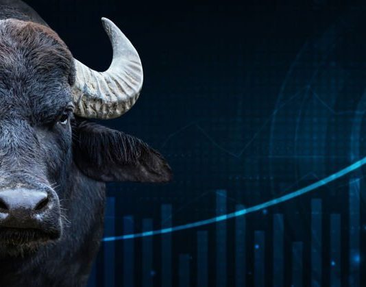 Cardano Q2 Rise: Stablecoin Soars, TVL Skyrockets, And Dapp Deals Struck Record Highs Cardano Q2 Rise: Stablecoin Soars, TVL Skyrockets, And Dapp Deals Struck Record Highs