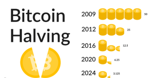 Bitcoin Bull Run Beckons: Releasing The Possible Of 2024 Cutting In Half On Costs