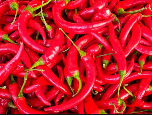 Chiliz (CHZ) Empowers Smart Contracts With Upgrades– Favorable Effect On Rate?