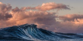 This Occasion Triggers Bitcoin Traders’ Belief To Increase, Will BTC Go Beyond $30,000?