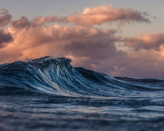 This Occasion Triggers Bitcoin Traders’ Belief To Increase, Will BTC Go Beyond $30,000?