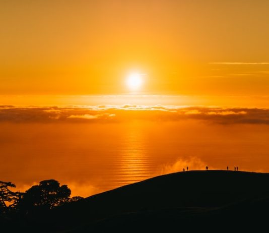 Early Indications Of Life: Why Bitcoin Is Likely To Move Far From $30,000 Quickly
