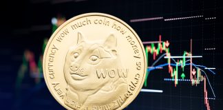 Why Is Dogecoin Rate Down Today?