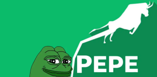 PEPE Coin Might Take The Spotlight After Shibarium Launching– Here’s Why
