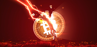 SpaceX Vibrant Move: Why Did They Offer $373 Million In Bitcoin Holdings?