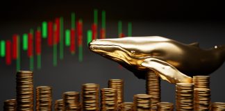 Ethereum Whale Avoids Market Crash, Do They Know Something You Do Not?