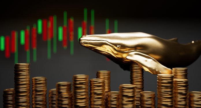 Ethereum Whale Avoids Market Crash, Do They Know Something You Do Not?