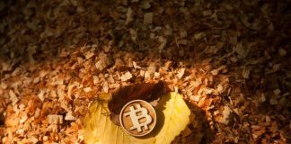 Breaking Point: Bitcoin Fate Holds On $25,400 Assistance, $20,500 Looms As Possible Bottom