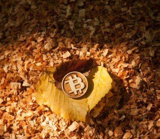 Breaking Point: Bitcoin Fate Holds On $25,400 Assistance, $20,500 Looms As Possible Bottom