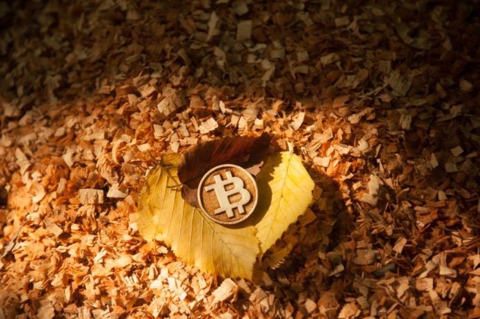 Breaking Point: Bitcoin Fate Holds On $25,400 Assistance, $20,500 Looms As Possible Bottom