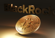 Here’s Why Arthur Hayes Is Not In Assistance Of A BlackRock Area Bitcoin ETF