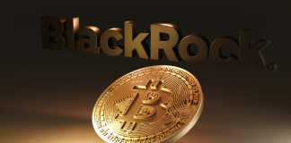 Here’s Why Arthur Hayes Is Not In Assistance Of A BlackRock Area Bitcoin ETF