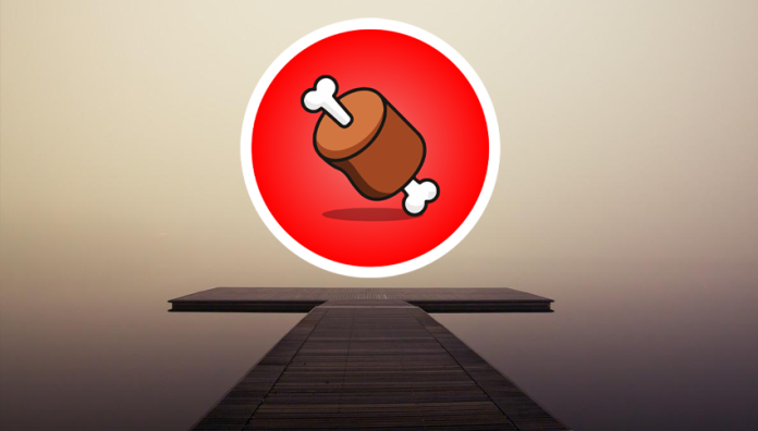 Shiba Inu-Based BONE Token Skyrockets By 11%, How High Can It Go?