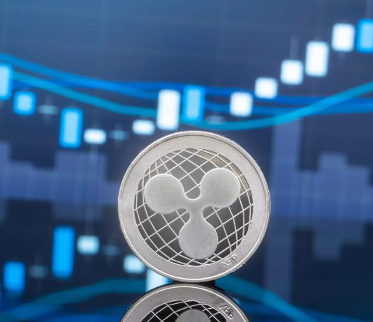 XRP Cost At Make-Or-Break Minute, Secret Levels To View