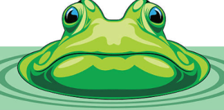 PEPE Token Topples 20% Amidst Suspicious Activity– Information