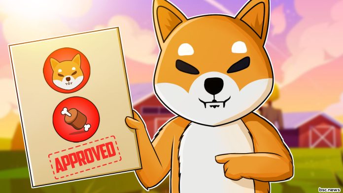 Shibarium Release Proves Favorable As Shiba Inu-Based BONE Commemorates New Turning Point