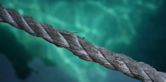 Traders’ Perseverance Fades: Bitcoin Cost Stuck At $26,000, However Can It Hold?