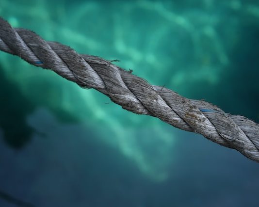 Traders’ Perseverance Fades: Bitcoin Cost Stuck At $26,000, However Can It Hold?