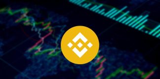 BNB Rate Projection: Will It Break Through Resistance At $225?