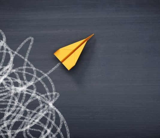 Shiba Inu Craze: Shibarium Surpasses 800,000 Wallets, SHIB Slips 2% On The Sidelines