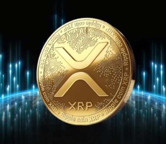 XRP Whales On The Move Once Again, As Altcoin Records Considerable Energy Spikes