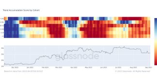 Worst Behind For BTC Cost? Whales Accumulate Bitcoin, However It’s Not BlackRock