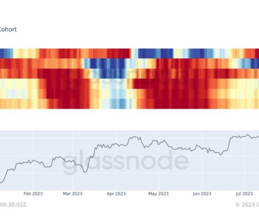 Worst Behind For BTC Cost? Whales Accumulate Bitcoin, However It’s Not BlackRock