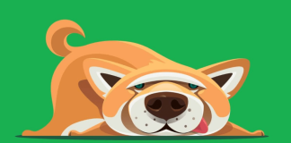 Shiba Inu Newest Dip– A Bullish Chance In Disguise?