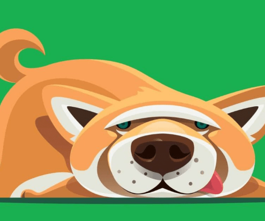 Shiba Inu Newest Dip– A Bullish Chance In Disguise?