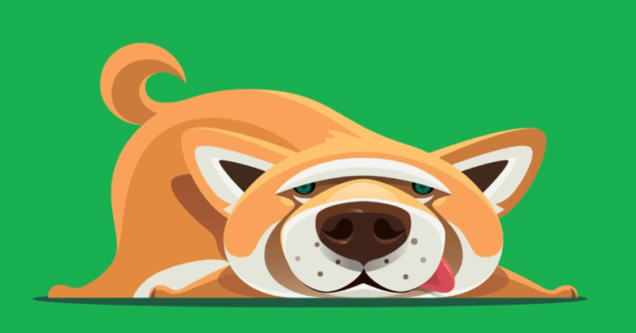 Shiba Inu Newest Dip– A Bullish Chance In Disguise?