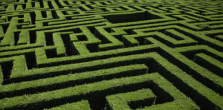 Ethereum Cost Labyrinth: Will It Skyrocket To $2,000 Or Remain at $1,500 In September?