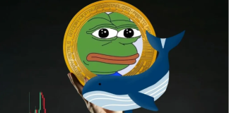 Pepe Coin Fall From Grace: What’s Turning The Whales Away?