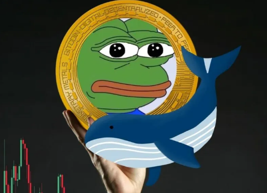 Pepe Coin Fall From Grace: What’s Turning The Whales Away?